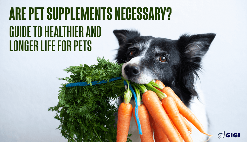 Are pet supplements necessary for healthy dogs and cats