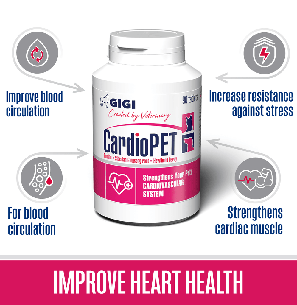 best supplement for dog heart health