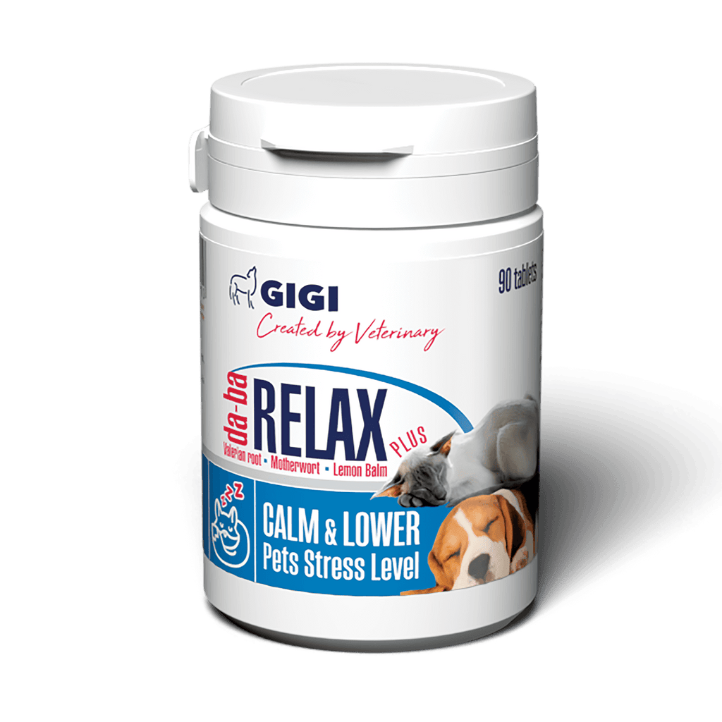 gigi vet natural calming supplement for cats and dogs