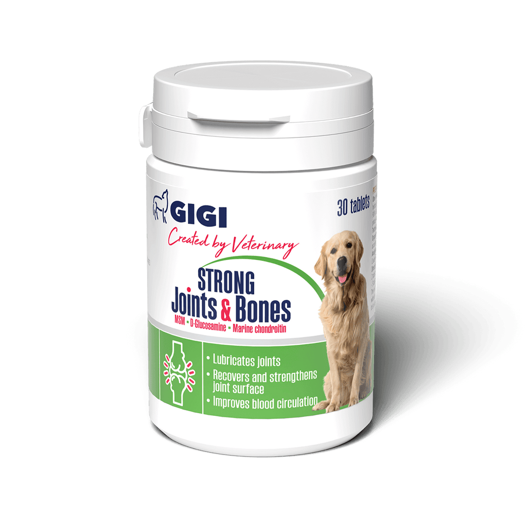 Strong Joints and Bones GIGI VET Dog Joint and Bone Supplement