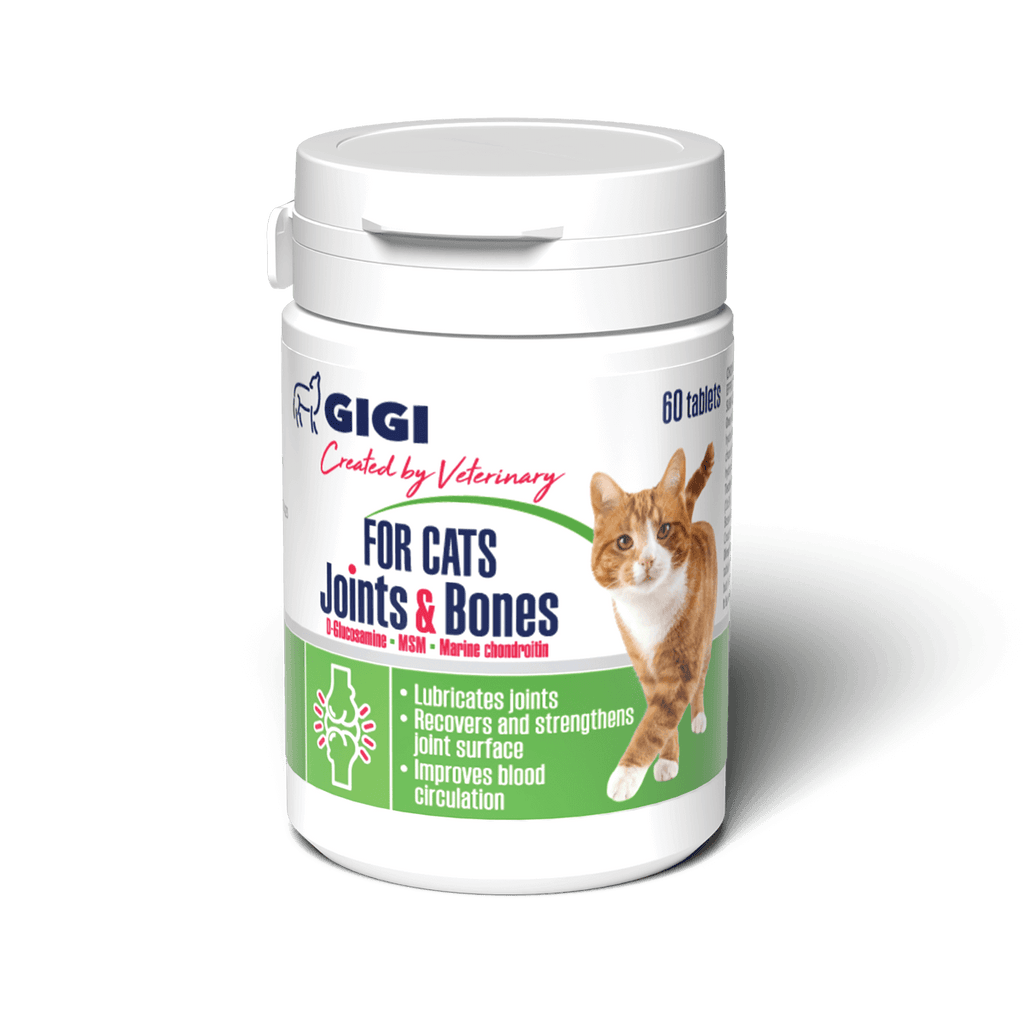 best vitamins for cats