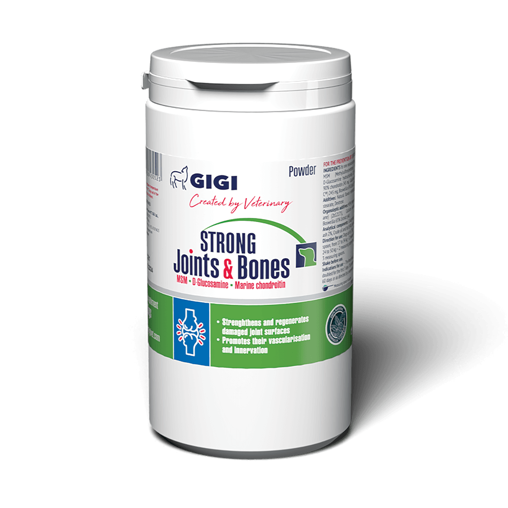 Strong Joints and Bones POWDER Supplement for Dogs GIGI VET