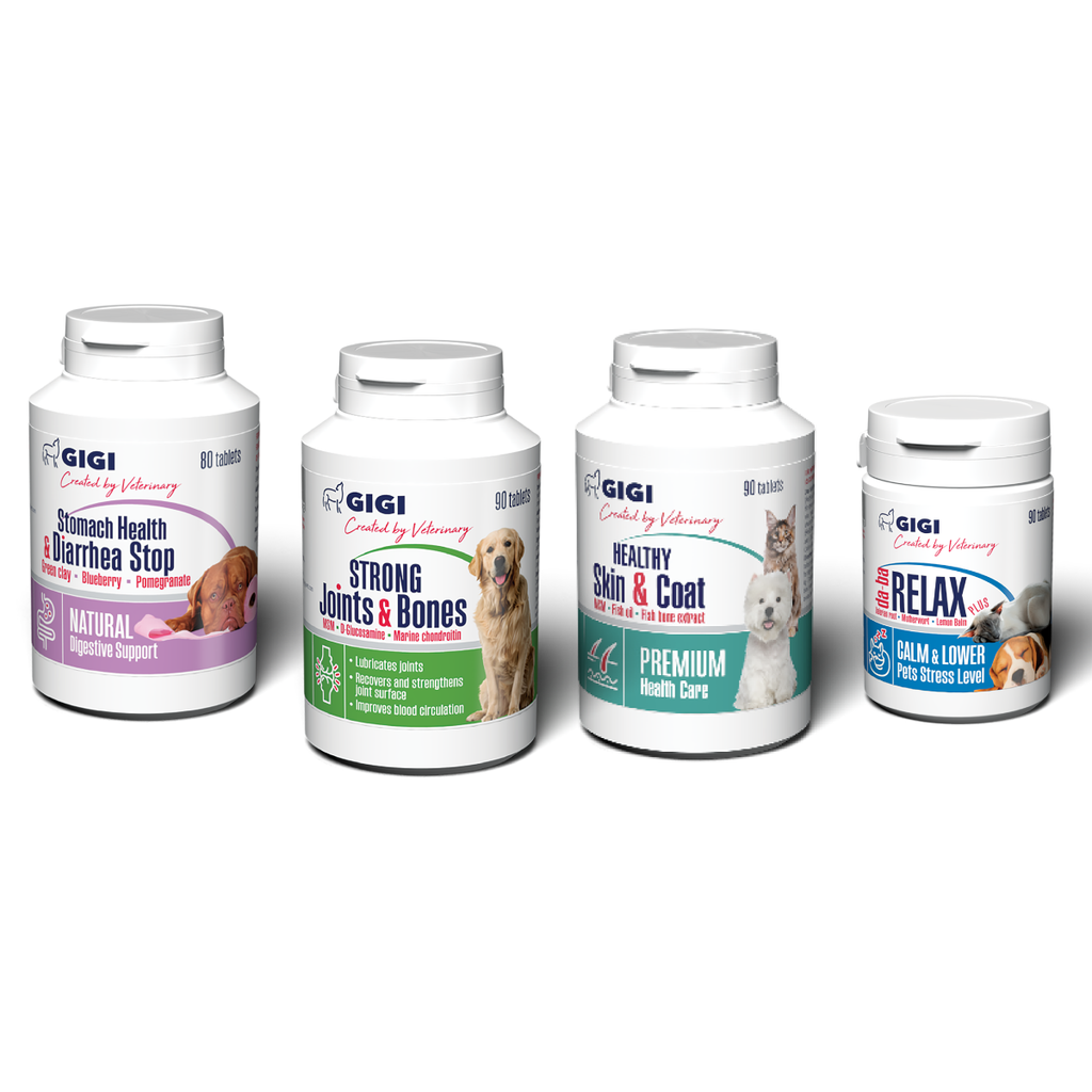 best supplements for new dog owner