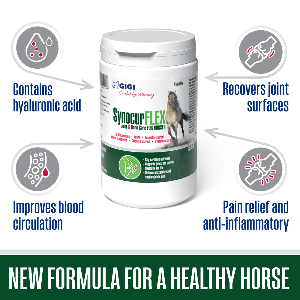 best joint and bone supplement for horses in uk