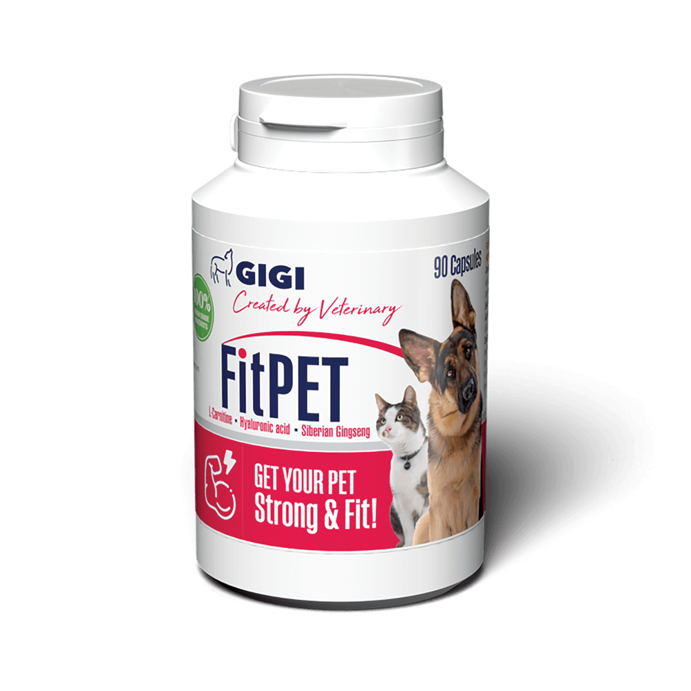 Energy boost supplement for your pet by GIGI VET.