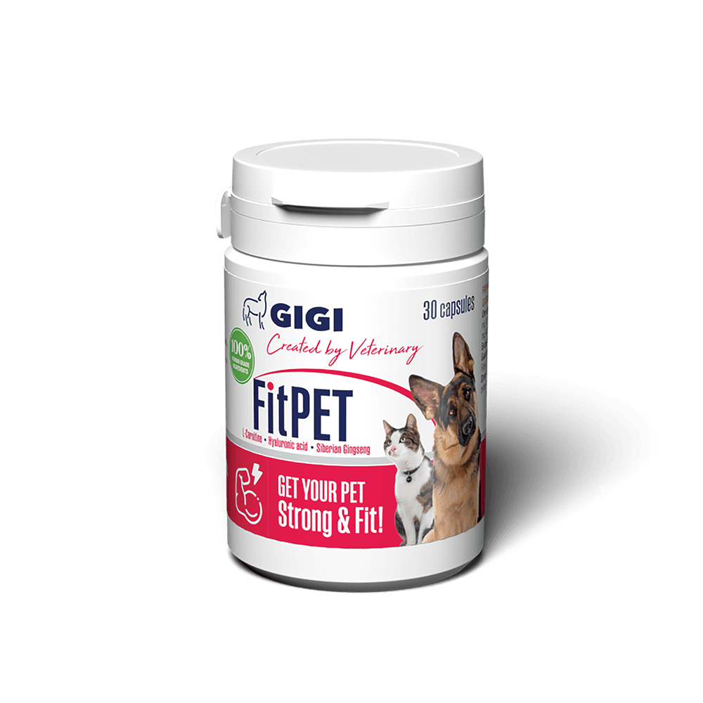 FitPet Pet Supplement for Energy Boost And Metabolism GIGI VET