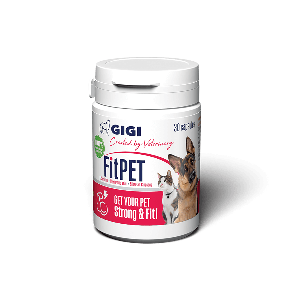 natural supplement for active dogs