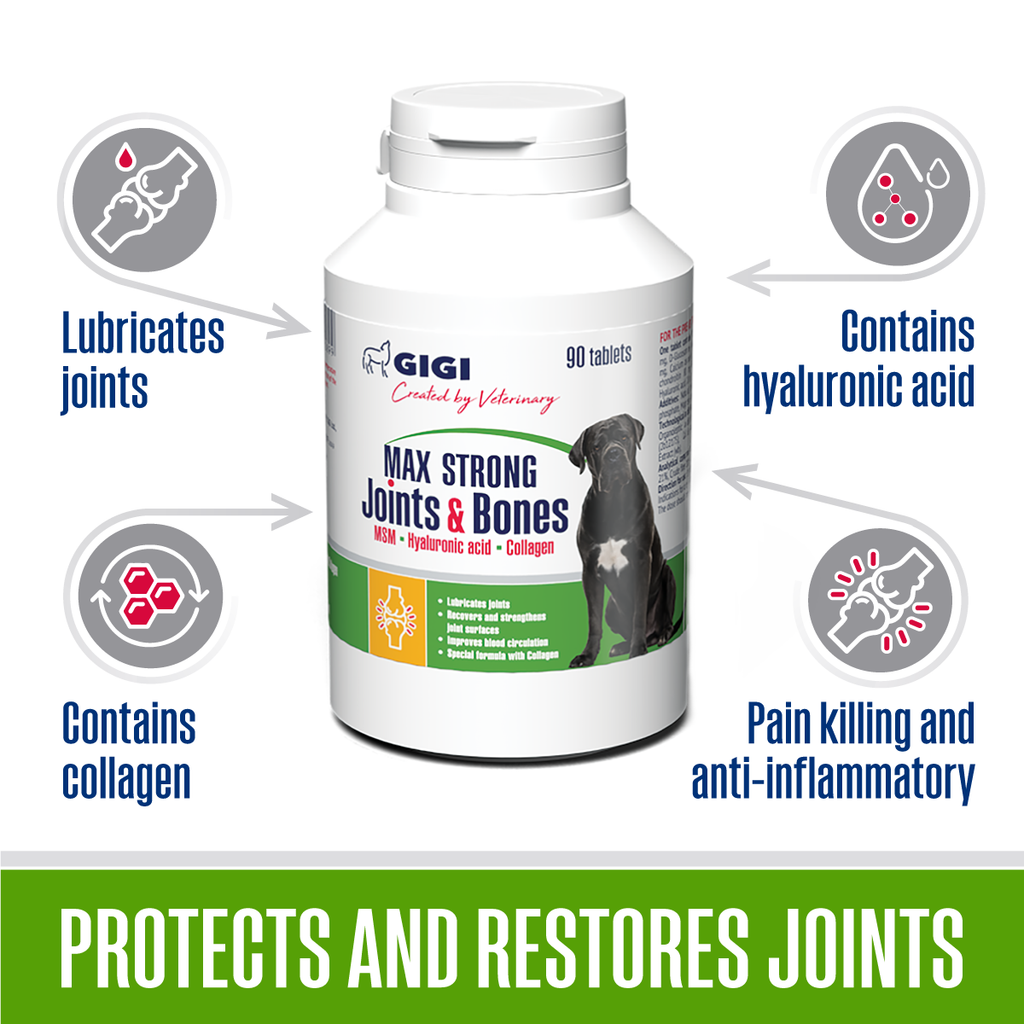 complete bone and joint protection for dogs