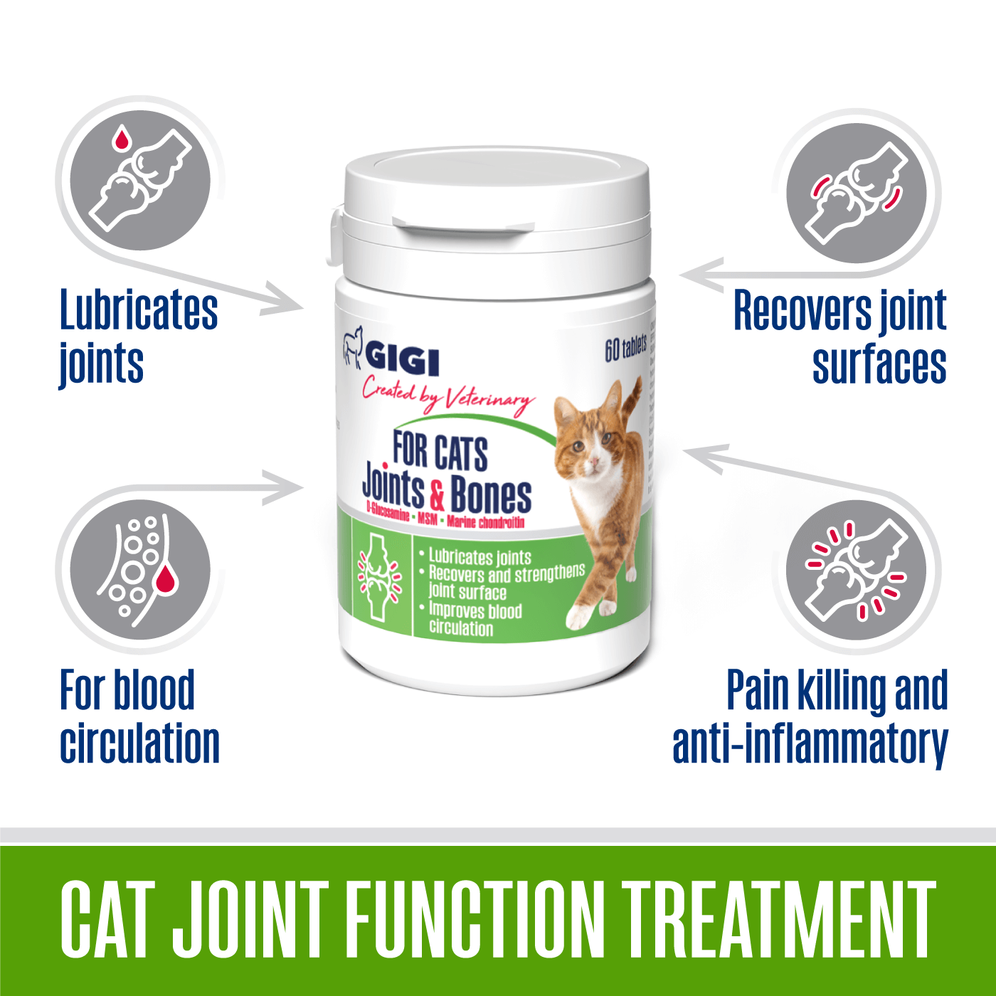 For Cat Joints and Bones | Supplement for Cats – GIGI VET