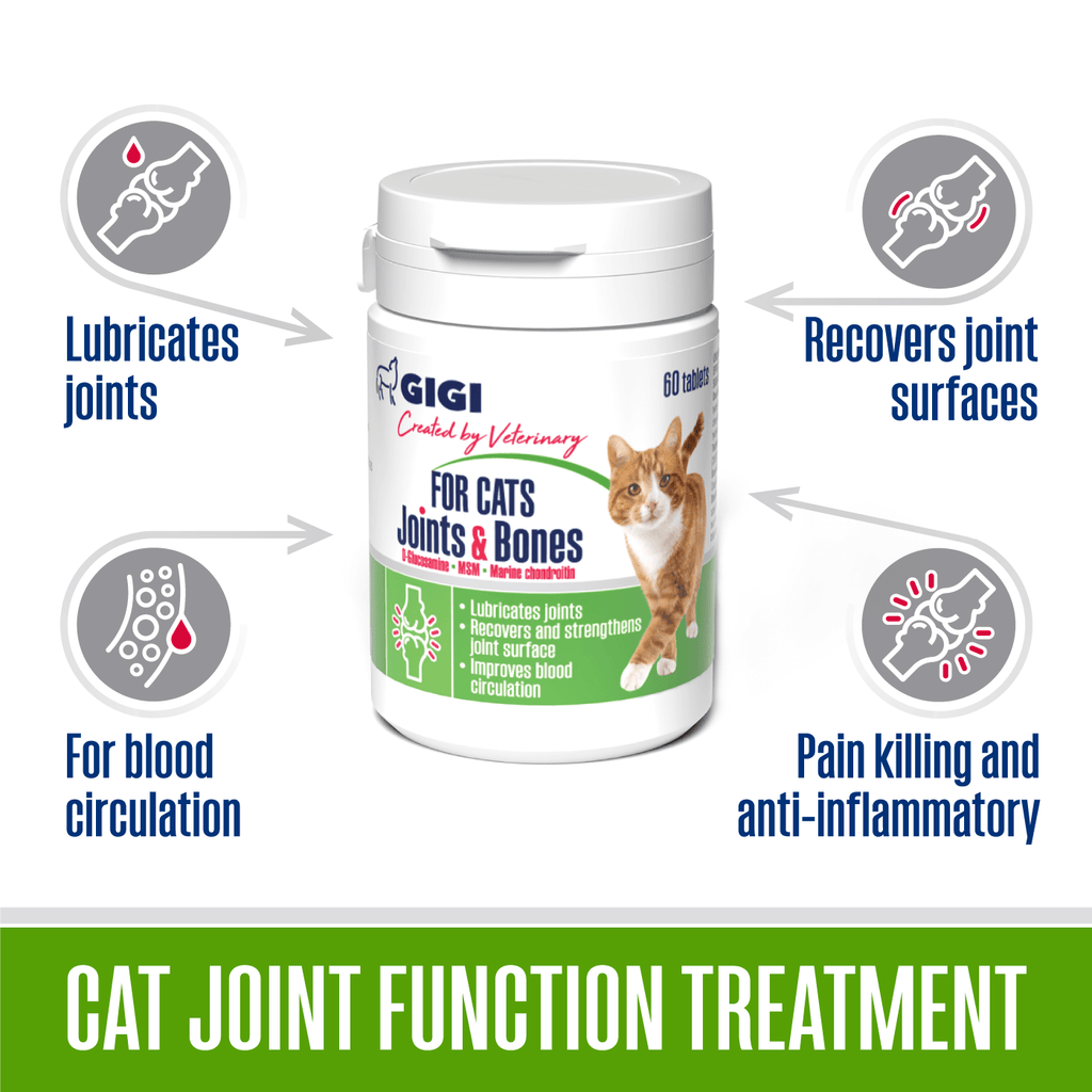best joint and bone vitamins for cats