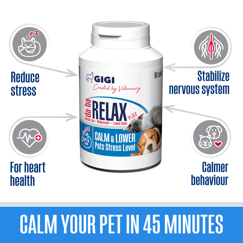 Calm your pet nerves in 45 minutes with natural supplement