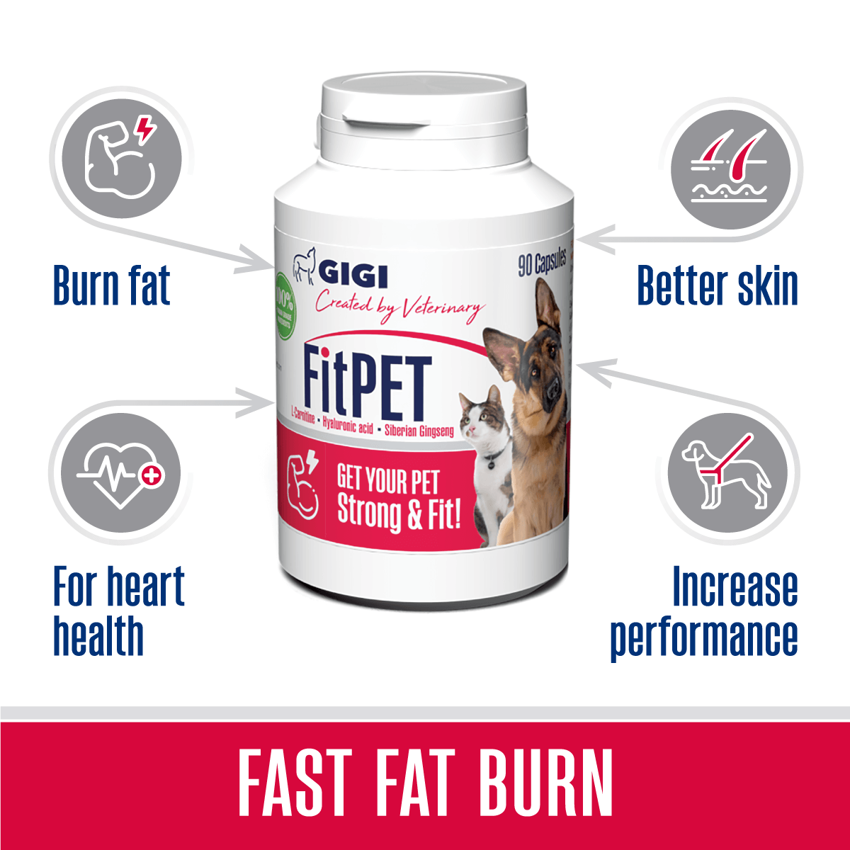 Fat supplement best sale for dogs