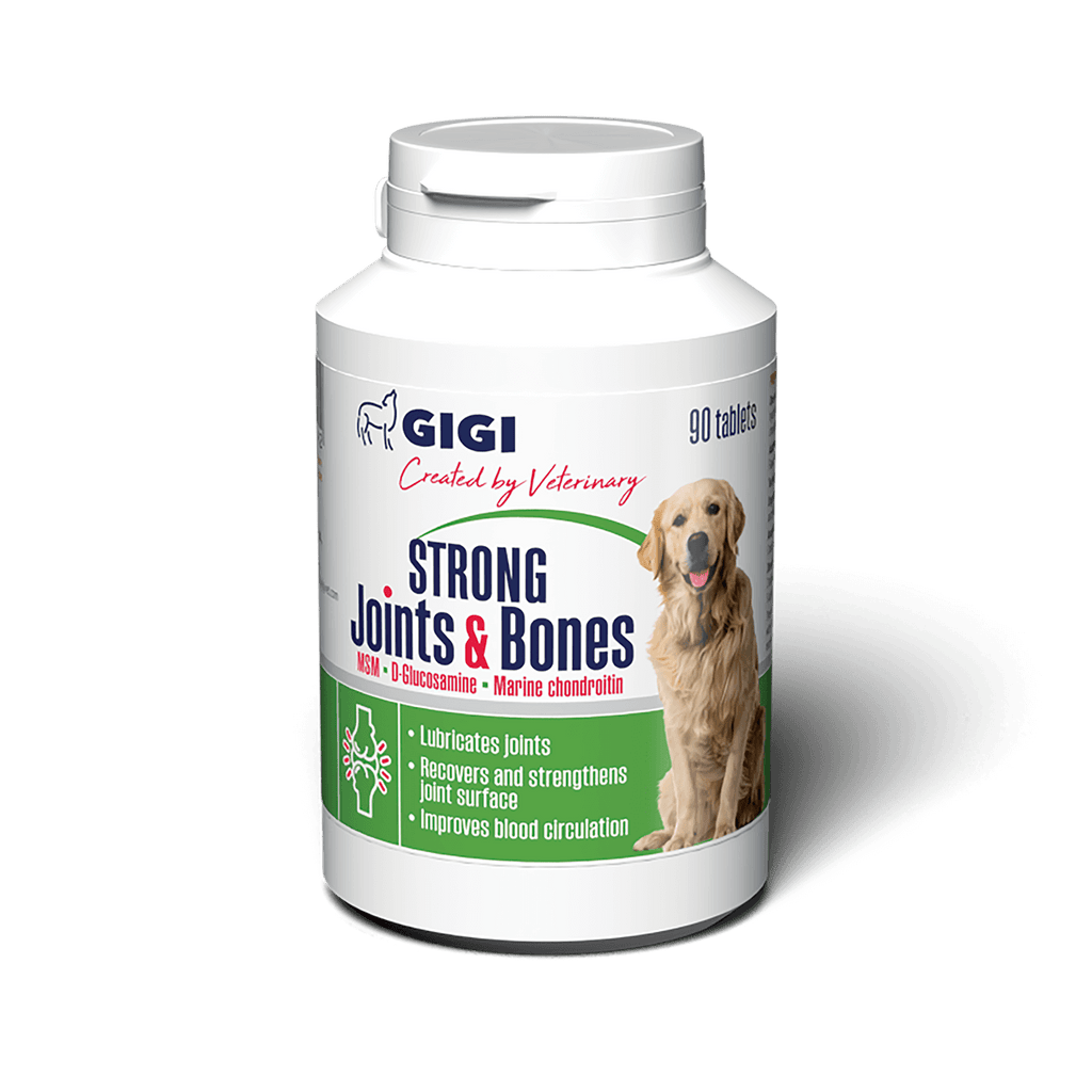 Strong joints and bones dog supplement helps your pet