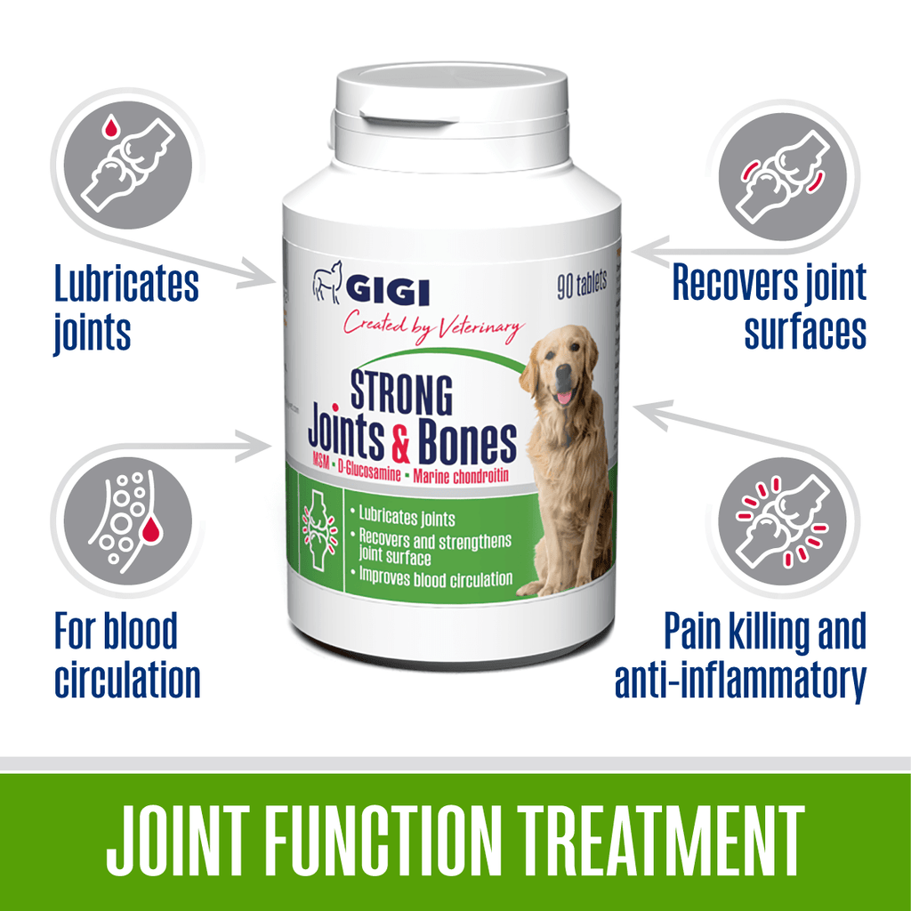 Dog strong joint and bone supplement lubricates and recovers joint surfaces, helps blood circulation
