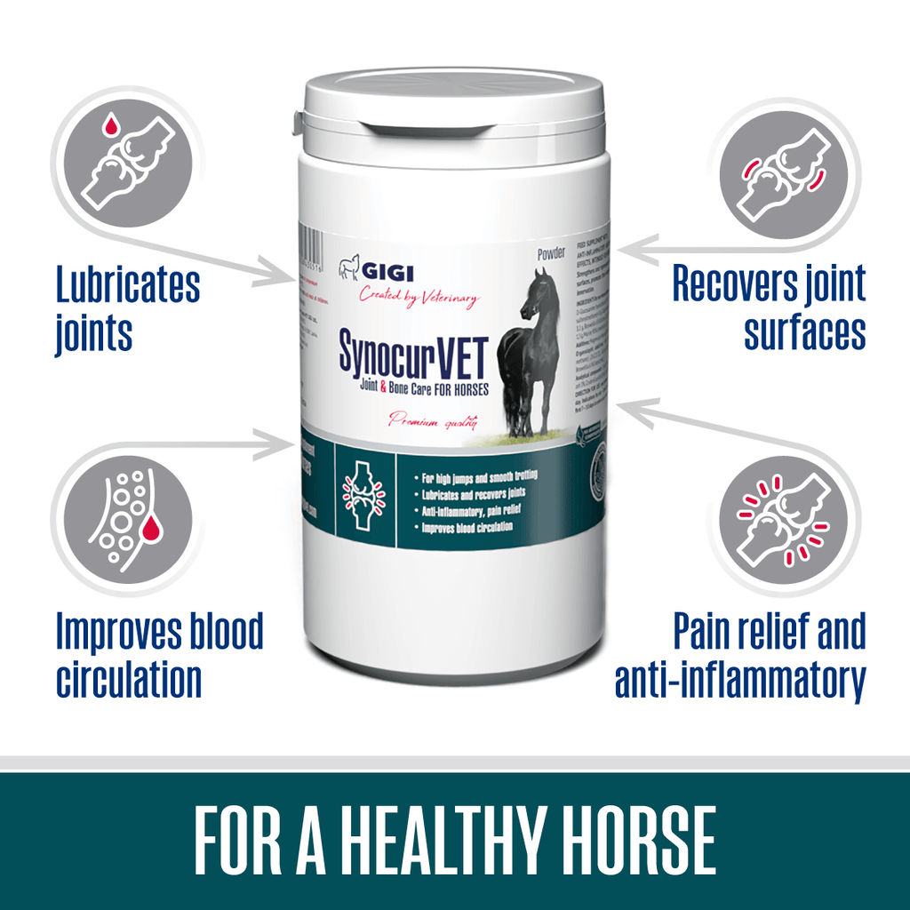 synocur best supplement for horses
