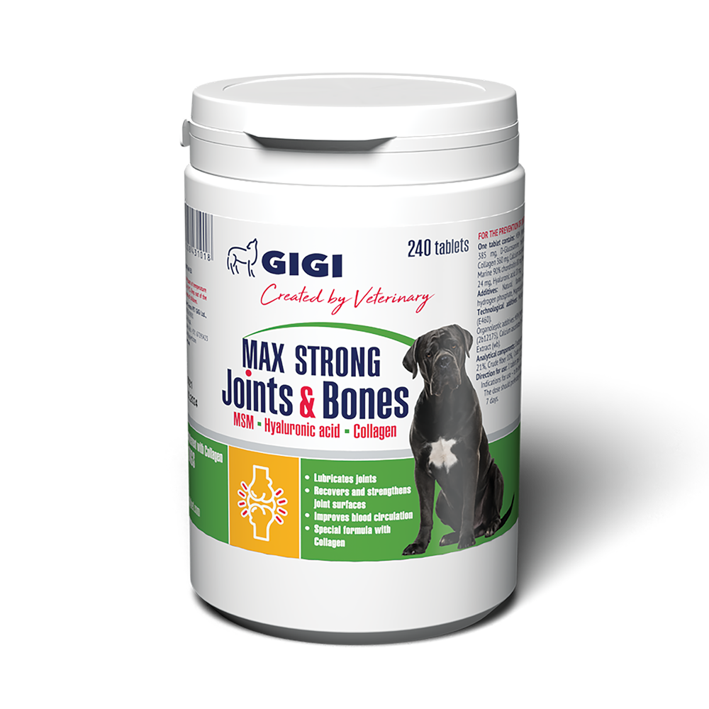 the best quality dog supplement
