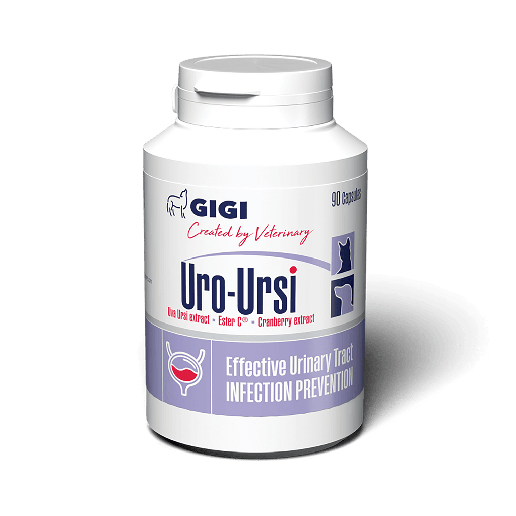 best supplement in uk for dog urinary tract health